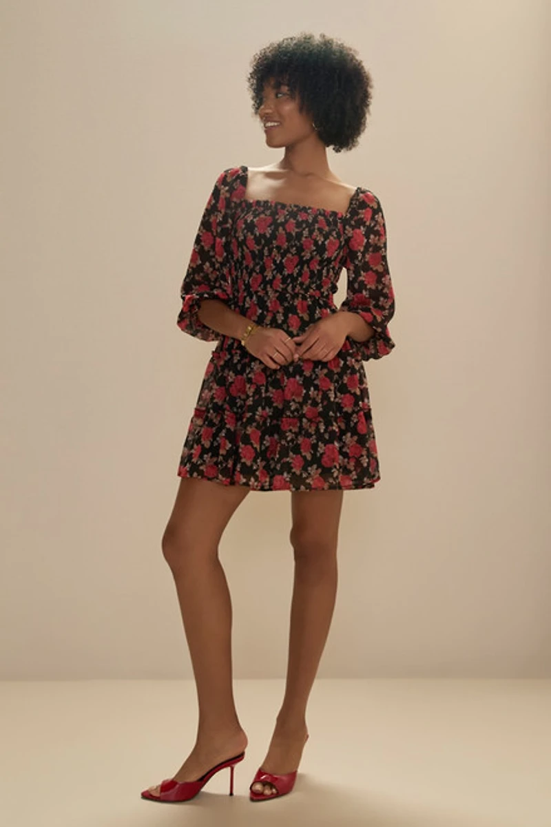 Stella Rose Printed Swing Dress