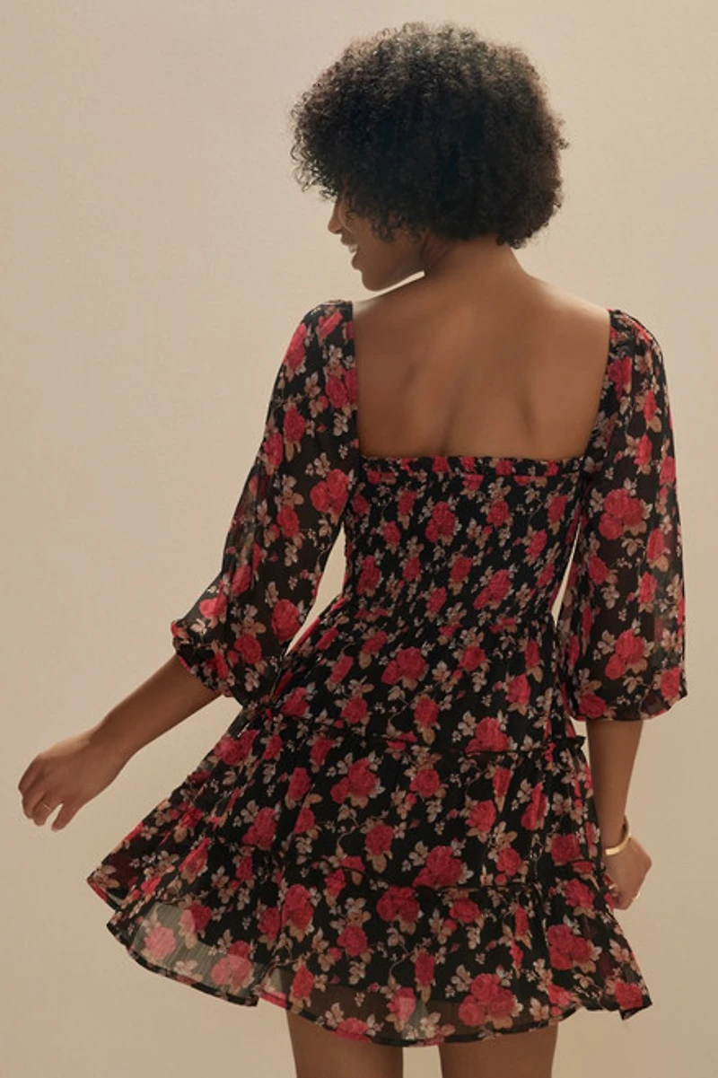 Stella Rose Printed Swing Dress