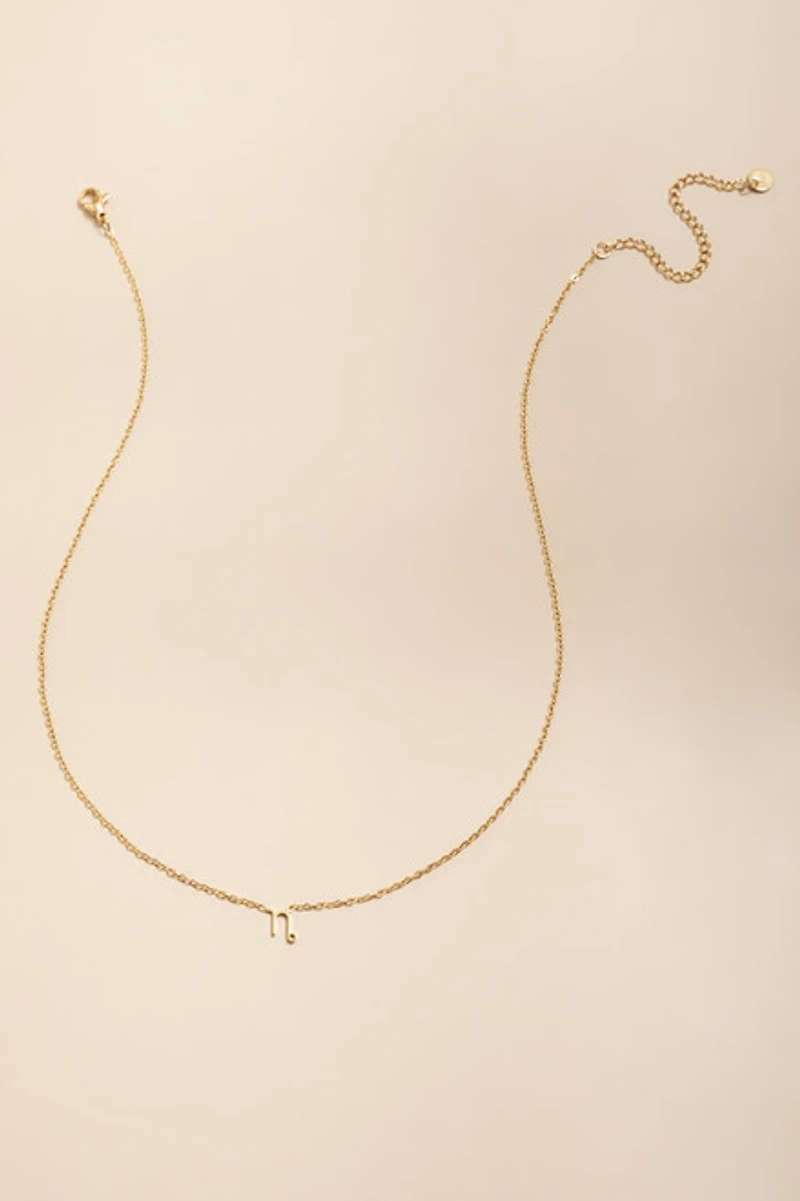 Capricorn Stainless Steel Pendant Necklace