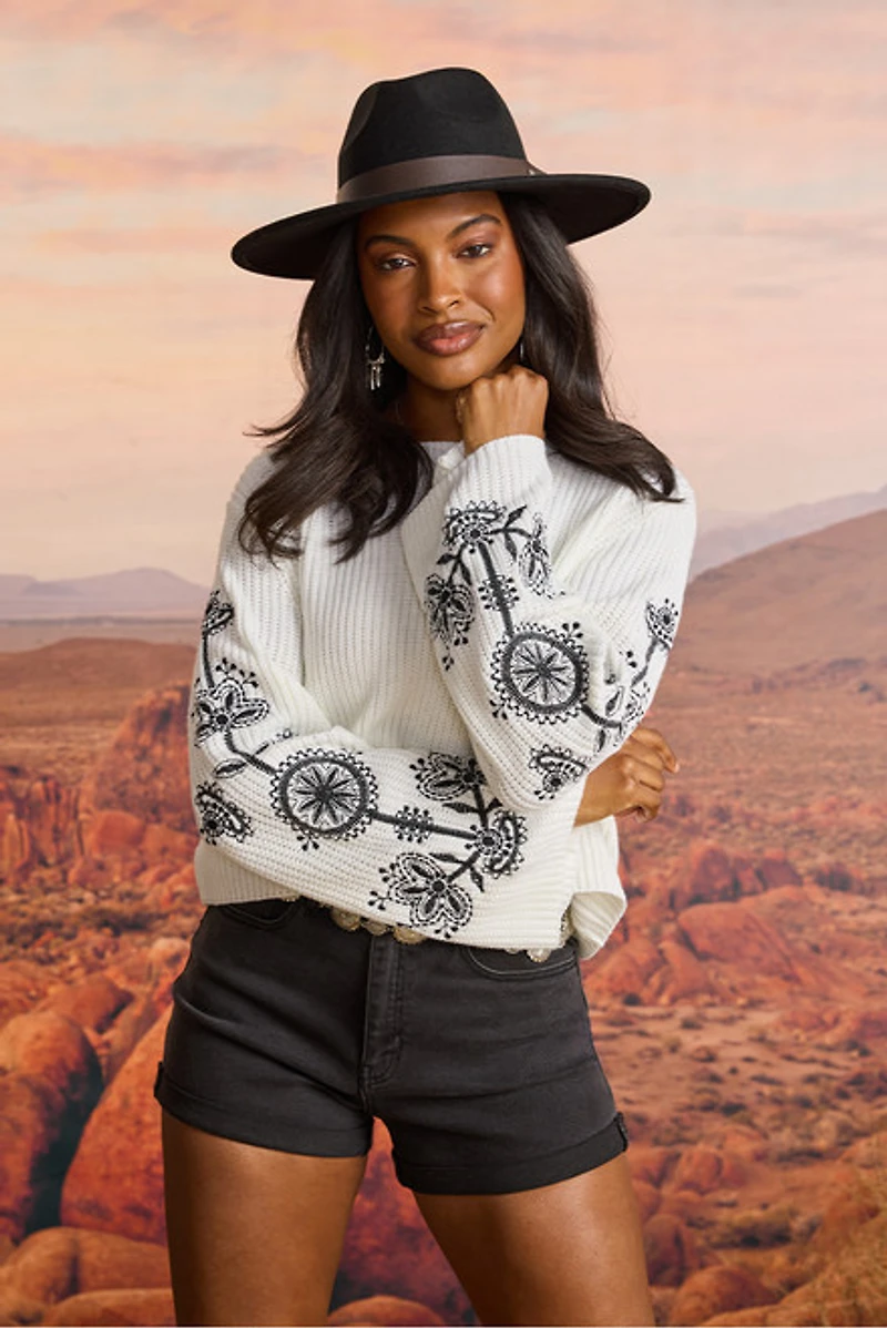 Mara Embroidered Sleeve Pullover Sweater