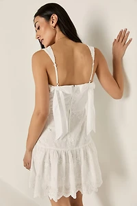 Lindsey Embroidered Mini Dress