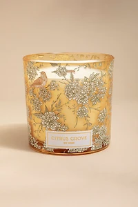 DW Home Secret Garden Citrus Grove 12oz Scented Candle