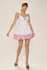 Bobbie Embroidered Mini Dress