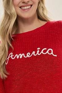America Embroidered Sweater