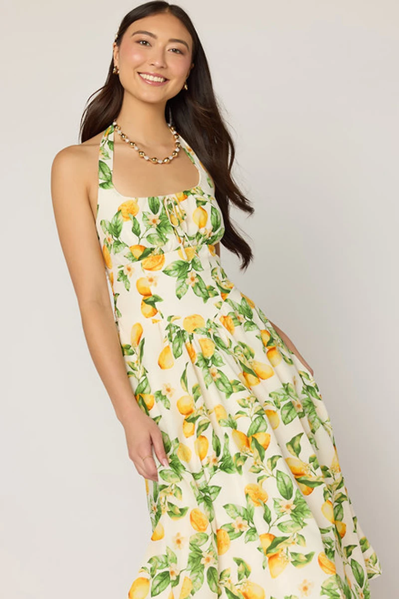 Lisa Lemon Basque Waist Midi Dress