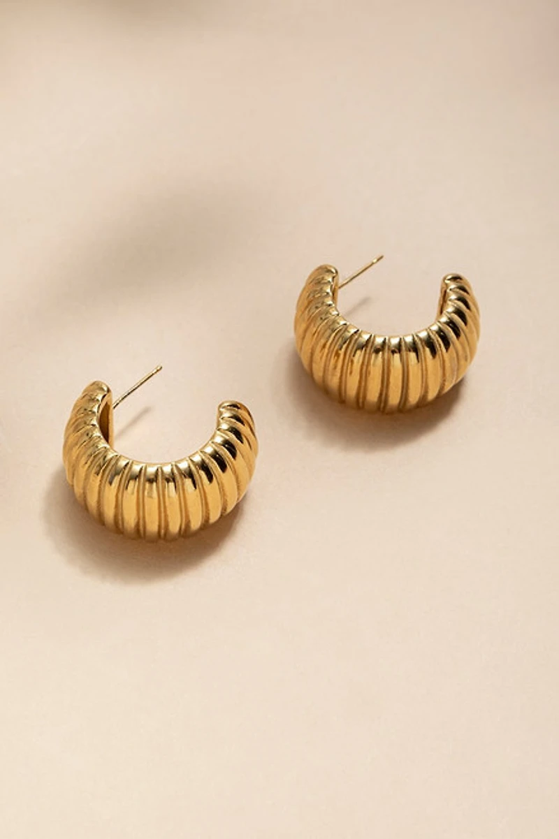 Lisa Stainless Steel Bold Hoop Earrings
