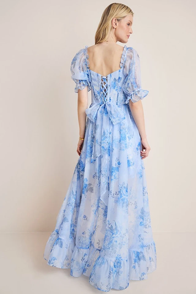 lana floral corset maxi dress Francesca's Lana Floral Corset Maxi Dress