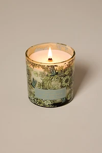 DW Home Woodland Walk Scented Candle Jar 13oz