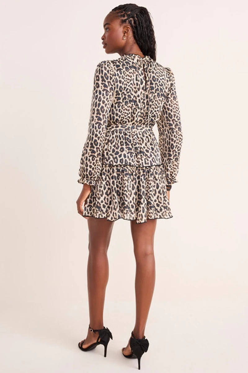 Amy Leopard Print Long Sleeve Tiered Mini Dress