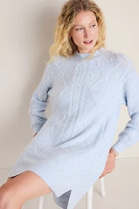 Tara Pearl Embellished Sweater Mini Dress