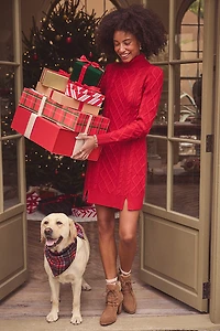 Gabrielle Turtle Neck Sweater Mini Dres