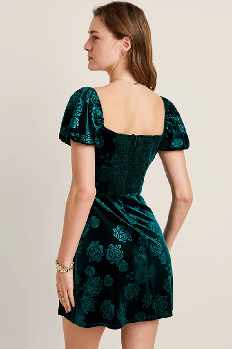 Tina Velvet Floral Mini Dress