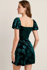 Tina Velvet Floral Mini Dress