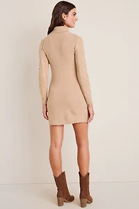 Ella Turtle Neck Mini Sweater Dress