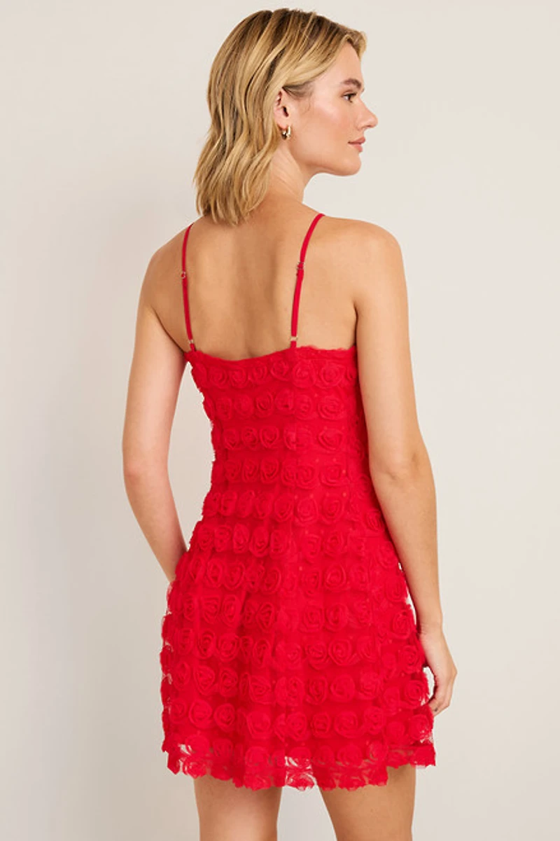 Betsy Rosette Mesh Mini Dress