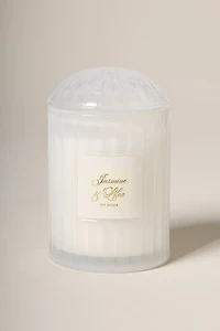 DW Home Jasmine Lilac Candle Jar 17oz
