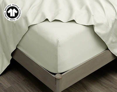 300TC Organic Cotton Fitted Sheet - Sagebrush Green