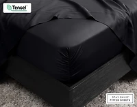 350TC BeechBliss TENCEL Modal Fitted Sheet