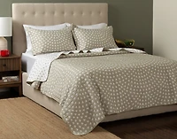 Forest Frost Cotton Blend Coverlet Set, Scenic, Green,
