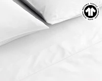 300TC Organic Cotton Sheet Set