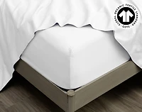 300TC Organic Cotton Sheet Set