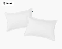 350TC BeechBliss TENCEL Modal Pillow Shams
