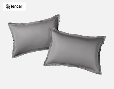 350TC BeechBliss TENCEL Modal Pillow Shams