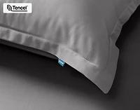 350TC BeechBliss TENCEL Modal Pillow Shams
