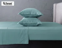 350TC BeechBliss TENCEL Modal Pillow Shams