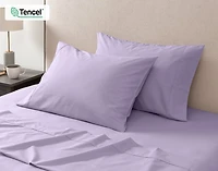 Cotton Caress Sheet Set - Orchid - King
