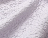 Evelyn Recycled Polyester Coverlet Set, Botanical, Blue,