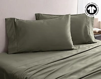 300TC Organic Cotton Sheet Set