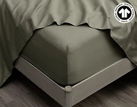 300TC Organic Cotton Sheet Set