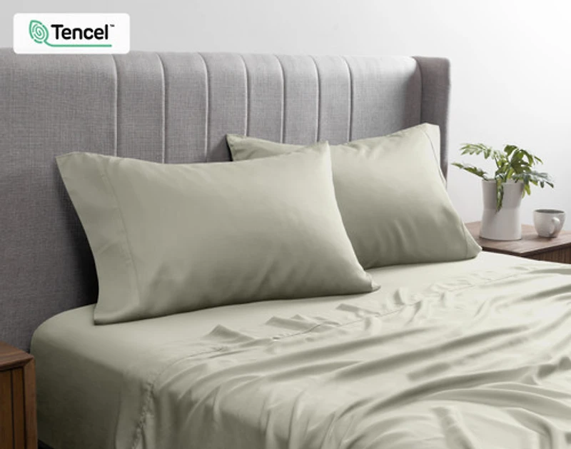 350TC BeechBliss TENCEL Modal Pillowcases