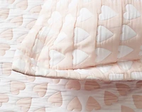 Sweetheart Cotton Blend Coverlet Set, Contemporary, Pink, Twin