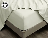 300TC Organic Cotton Fitted Sheet - Sagebrush Green