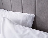 Sleep Shield Anti Bed Bug Pillow Protector, OEKO-TEX Certified,