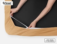 350TC BeechBliss TENCEL Modal Sheet Set