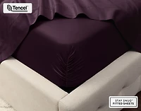 500TC Eucalyptus Luxe TENCEL Lyocell Sheet Set Fitted