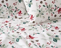 Organic Cotton Flannel Sheet Set