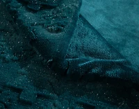 Sparkle Etched Throw