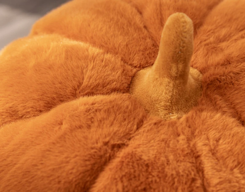 Pumpkin Cushion