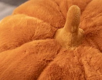 Pumpkin Cushion