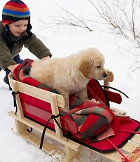 Kids' Pull Sled