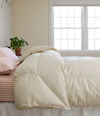 Permabaffle Box Goose Down Comforter, Warm