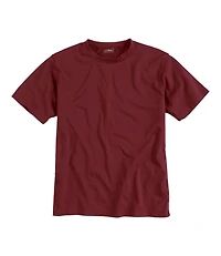 Men's Carefree Unshrinkable Tee, Traditional Fit Short-Sleeve