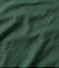 Men's Carefree Unshrinkable Tee, Traditional Fit