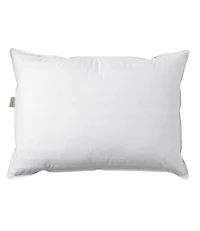 Down Chamber Pillow