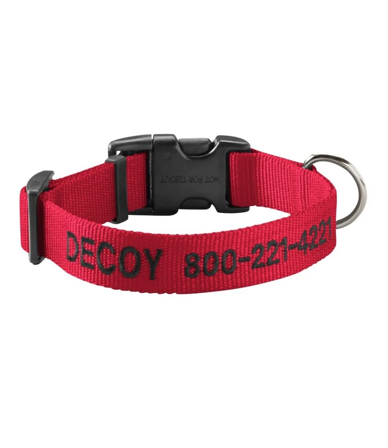 Personalized Pet Collar