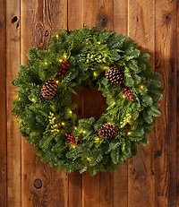 Woodland Berry Lighted Wreath, 24"